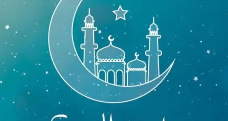 مسؤولة عربية تدعو إلى إصدار فتوى لإلغاء عيد الأضحى.. وتكشف السبب: أخبار