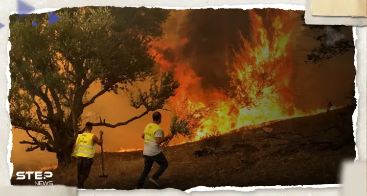 حرائق الجزائر تصل الثكنات العسكرية.. مقتل 10 جنود وإصابة 25 آخرين: أخبار