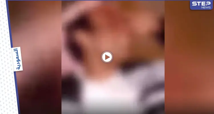 بالفيديو|| السعودية تقبض على مواطن روج لتعاطي المخدرات وتضبط كميات ضخمة من الحشيش: أخبار