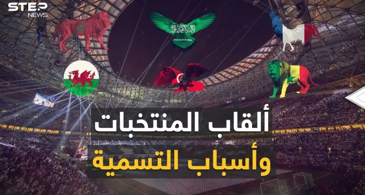 "ديناميت" و"تنانين" و"أسود" وحيوانات مفترسة أخرى.. أغرب القاب المنتخبات المشاركة في كأس العالم: أخبار