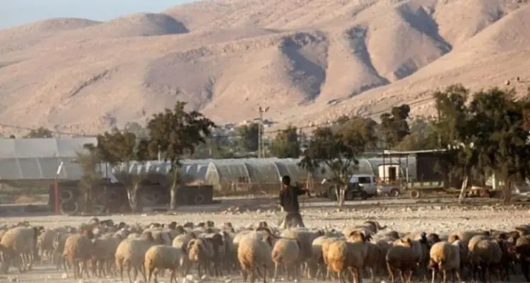 مطاردة "هوليوودية" بين جنود إسرائيليين و"راعي مشبوه" على حدود لبنان: أخبار