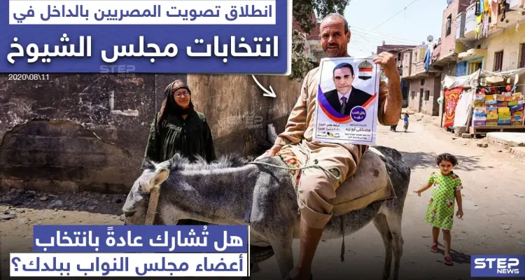 المصريون في الداخل يصوتون في انتخابات مجلس الشيوخ: أخبار