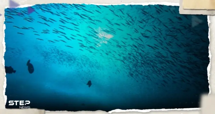 هذا ما سيحدث لجسم الإنسان داخلها.. تعرف على أخطر نقطة بالمحيطات ومدة البقاء حياً فيها: أخبار