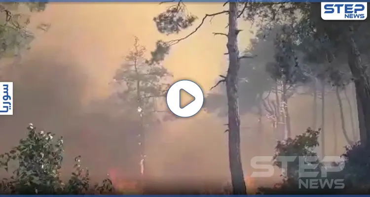 بالفيديو|| 4 حرائق في سوريا تطال مواقع مختلفة.. أحدهم افتعلته إسرائيل وآخر سببه النظام السوري: أخبار