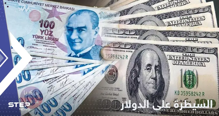 الليرة التركية بأدنى مستوياتها.. ومصر تتحرك للسيطرة على الدولار: أخبار