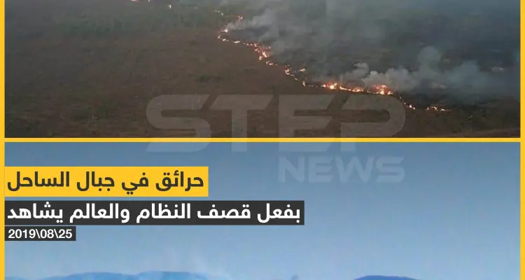 ما الفرق بين سوريا والأمازون برأيك؟!: أخبار