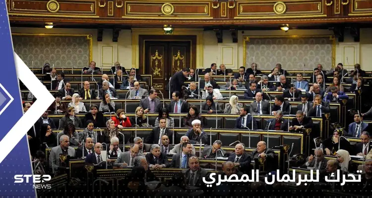 البرلمان المصري يتحرك بعد عملية احتيال كبيرة نفذتها منصة هوج بول: أخبار