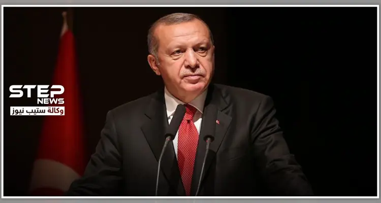 أردوغان: "أنابيب الطاقة بالمتوسط لنا، وسوريا على رأس الأولويات": أخبار