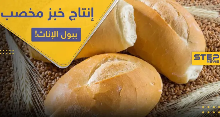 فرنسا تبدأ بإنتاج خبز مخصب بـ بول الإناث.. والتفاصيل!: أخبار