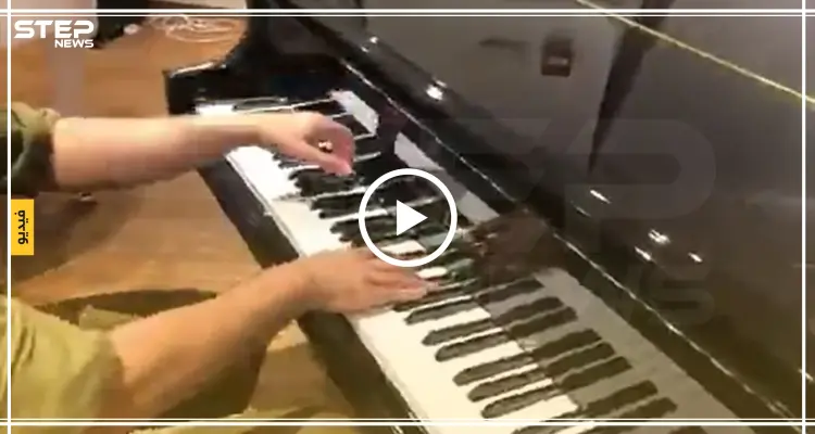 أفيخاي أدرعي يتودد لـ إليسا في عيد ميلادها بعد أشهر من حظرها له (فيديو): أخبار