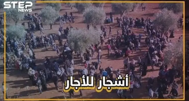هل تصدق!! بعض أهالي شمال إدلب يؤجرون "ظلال الأشجار" للنازحين من القصف!!: أخبار