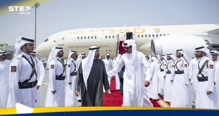الرئيس الإماراتي وأمير قطر