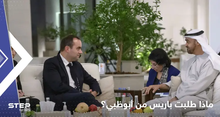 تفاصيل اجتماع مهم بين وزير الجيوش الفرنسي ورئيس الإمارات.. ماذا طلبت باريس من أبوظبي؟: أخبار