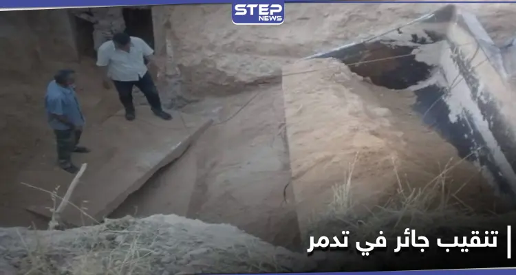 شاهد || النظام السوري يخرّب آثار تدمر عبر التنقيب عنها بالجرافات: أخبار