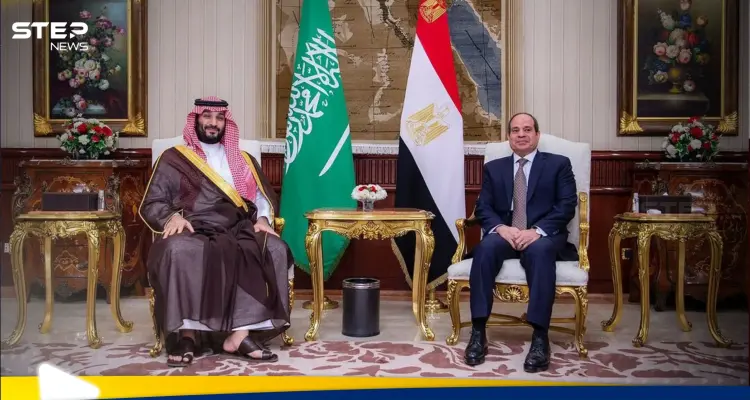 ما وراء استقبال بن سلمان للسيسي في نيوم.. وأهم الملفات المطروحة: أخبار