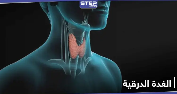 علامات فشل وظائف الغدة الدرقية الهامة في جسم الإنسان: أخبار