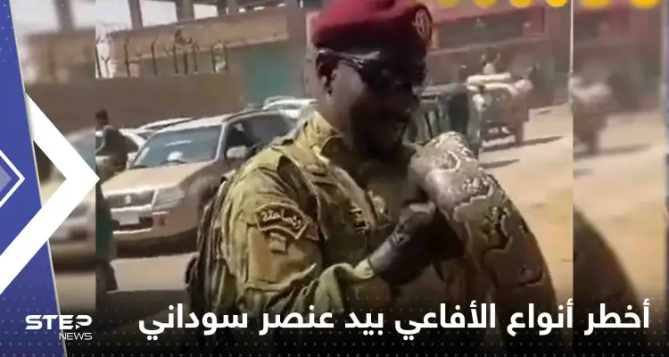 شاهد|| عنصر من القوات المسلحة السودانية يحمل أحد أخطر أنواع الأفاعي ويتبختر: أخبار