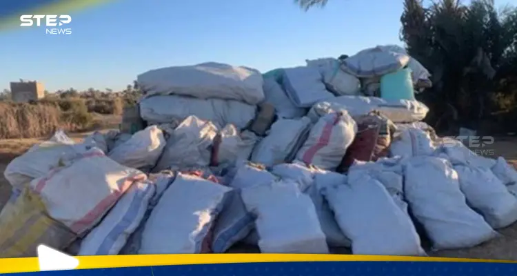 العثور على جزيرة مخدرات في قلب النيل: أخبار