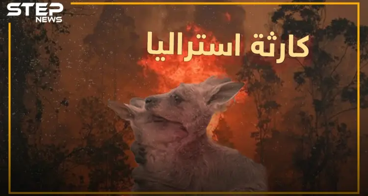 نصف مليار كائن اختفى من الكوكب بسبب حرائق استراليا..: أخبار
