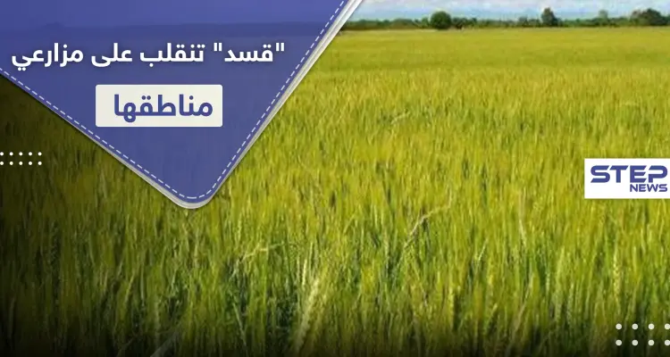 بالأسماء|| "قسد" تنقلب على مزارعي مناطقها بصفقات سرية.. وقرارات جديدة أدت لـ"خربان بيوت": أخبار