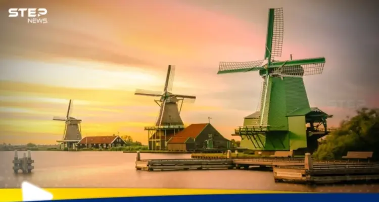 شروط الحصول على الجنسية الهولندية وطريقة التقديم: أخبار