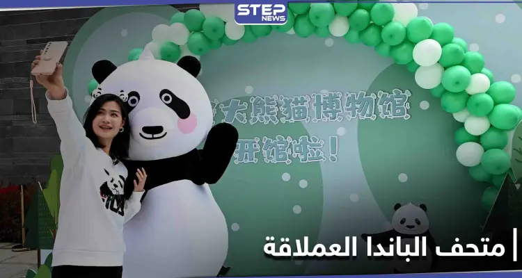 الأول من نوعه في العالم.. متحف تفاعلي لـ الباندا العملاقة في الصين: أخبار