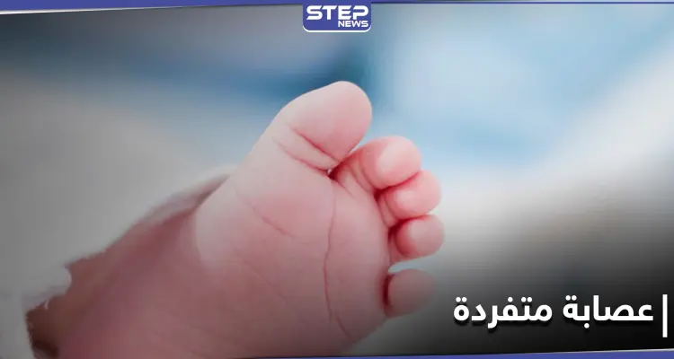 جريمة متكاملة الأركان... عصابة قردة تختطف توأماً رضّعاً وتقتل طفلة: أخبار