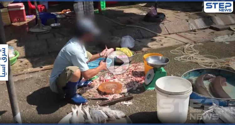 خفافيش وثعابين وقرود.. فيديو مخيف لأسواق آسيوية وتحذيرات عالمية من الموجة الثانية لـ كورونا (فيديو): أخبار