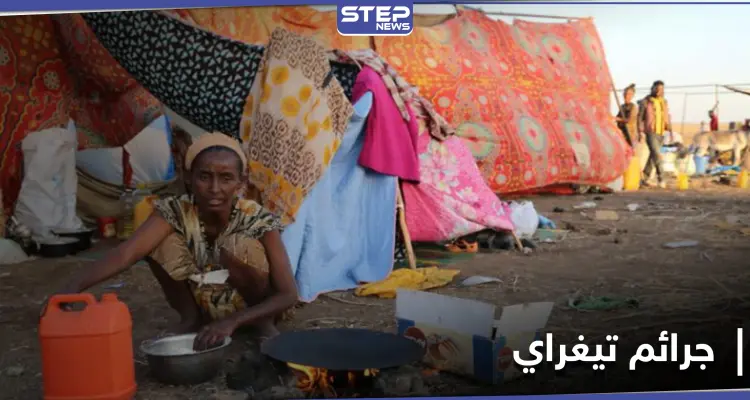 أُزيلت قرى بأكملها.. تقرير سري يكشف عن إبادة عرقية بإقليم تيغراي الإثيوبي: أخبار