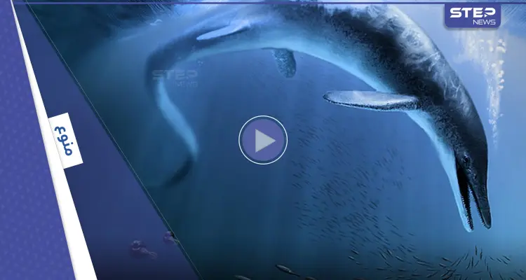 شاهد|| أول عملاق على وجه الأرض.. زاحف ضخم جاب كوكبنا قبل ملايين السنين: أخبار