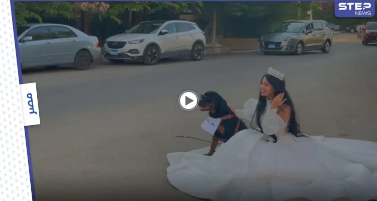 بالفيديو|| البلوجر هبة مبروك تعلن زواجها من كلب وتنشر حفل زفافها مثيرة استفزاز المصريين: أخبار