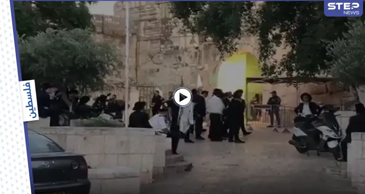 بالفيديو|| مستوطنون يستفزون المصلين في المسجد الأقصى بأدائهم "الطقوس التلمودية" بالتزامن مع رفع أذان المغرب: أخبار
