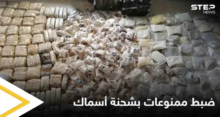 بعد إصدار حكم الإعدام بتجار الممنوعات.. الكويت تضبط كميات مهربة في شحنة أسماك وهذا مصير الفاعل: أخبار