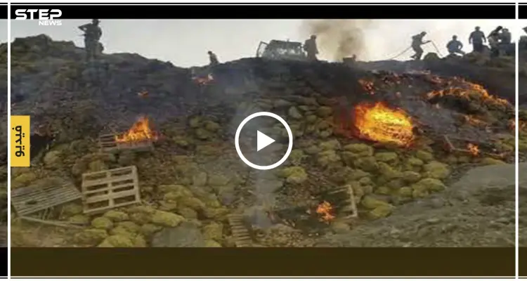 كان بالإمكان الاستفادة منها.. معبر الراعي يتلف 175 طن بطاطا لهذا السبب (فيديو): أخبار