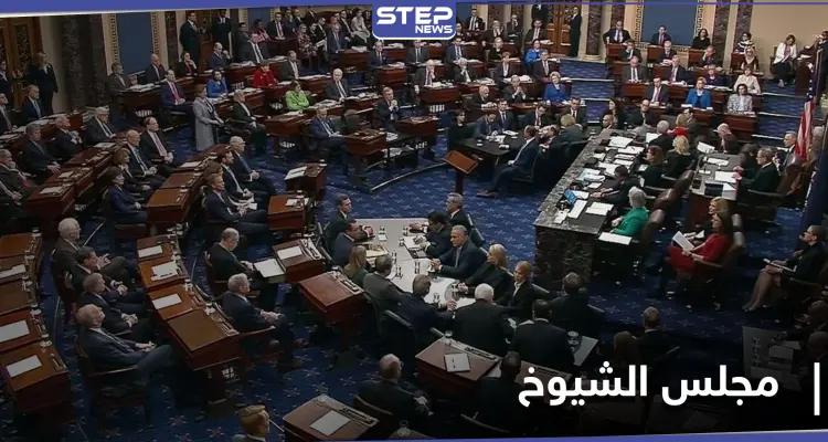 تنافس كبير في جورجيا على مقعدي مجلس الشيوخ.. ومرشح ديمقراطي يعلن الفوز بأحدهما: أخبار