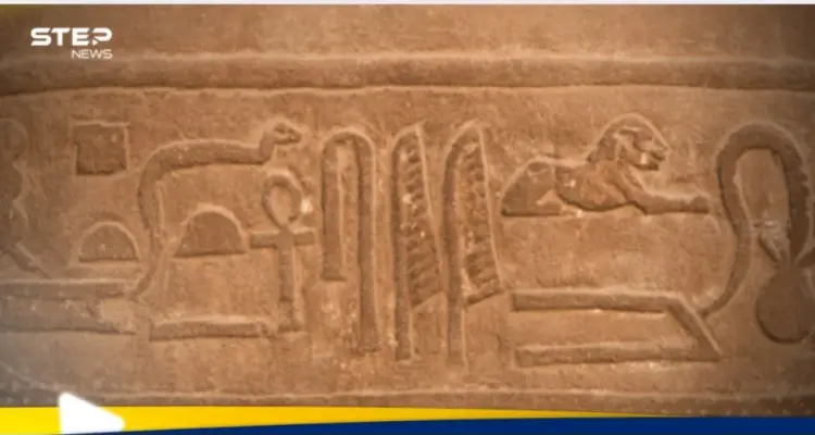 اللغة التي تكشف أسرار الفراعنة.. إطلاق منصة لتعليم الرموز "الهروغليفية" لمحبي التاريخ: أخبار