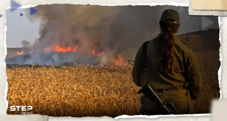 شاهد|| مجندة إسرائيلية تعترف بما جرى يوم طوفان الأقصى وتشعل الجدل بإسرائيل: أخبار