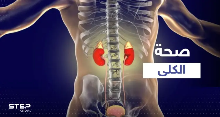 4 مشروبات شهيرة الإفراط في تناولها يضر بكليتك ويسبب تلفها.. احذر منها: أخبار