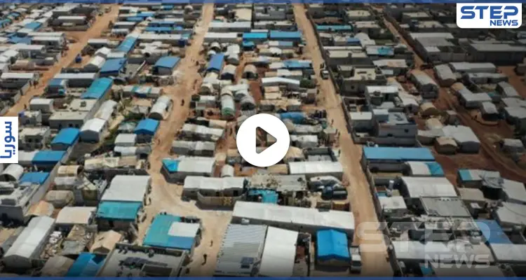 حشرة سامة غريبة تظهر في مخيمات إدلب وتسبب وفاة طفلة وسط مناشدات من الأهالي (فيديو): أخبار