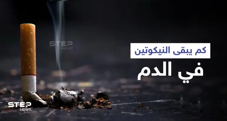 كم يبقى النيكوتين في الدم وتأثيره على جسم الإنسان إليك أهم المعلومات: أخبار