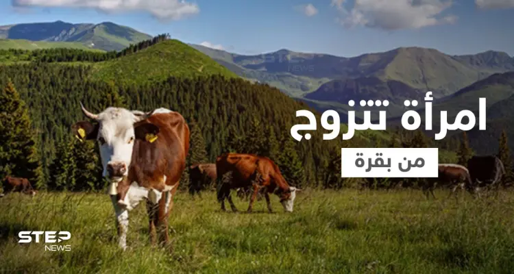 شاهد|| امرأة تزوجت بقرة في زفاف علني لسبب غير متوقع وكتبت وصية مثيرة لأولادها: أخبار