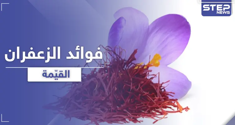 الزعفران مصدر لقيم غذائية عالية .. يحمي من تلف شبكية العين والزهايمر: أخبار