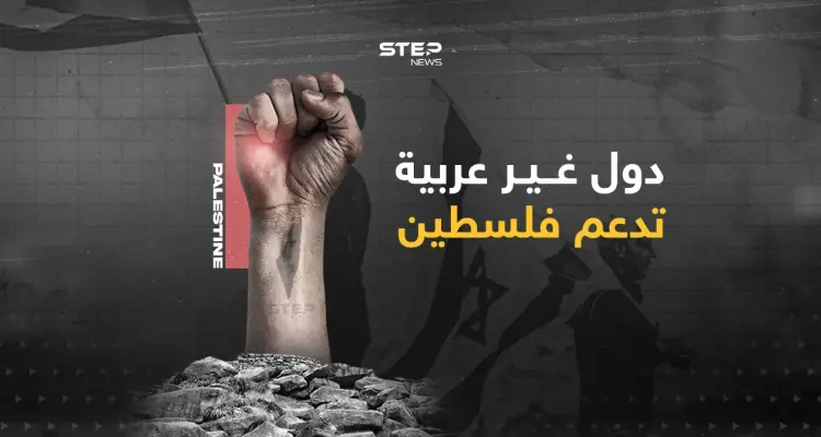 في وسط دعم من أوروبا لإسرائيل... دول غير عربية داعمة لفلسطين: أخبار