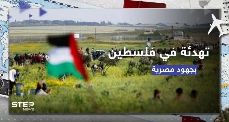 القاهرة تعلن توصلها إلى تفاهمات تهدئة بين إسرائيل وفلسطين: أخبار