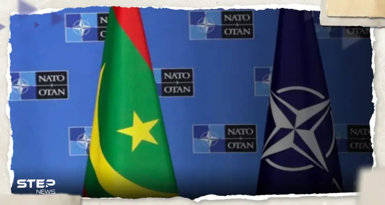 صحيفة أمريكية: قوى عظمى تغازل دولة عربية لما تملكه من مقومات هائلة: أخبار