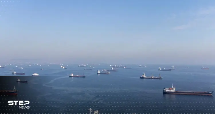 إحداها متوجهة إلى دولة عربية.. ثلاث سفن محملة ببضائع تغادر موانئ أوكرانية على البحر الأسود: أخبار