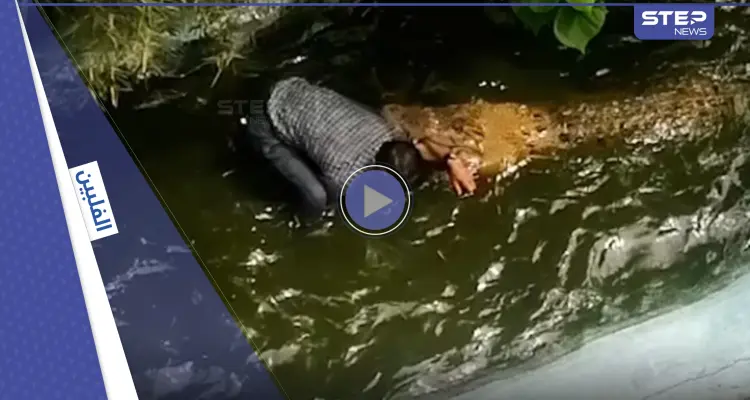 بالفيديو|| لحظات تحبس الأنفاس.. تمساح ينقض على سائح ويهاجمه بعنف بعد اقتراب الأخير منه ظناً أنه بلاستيكي: أخبار