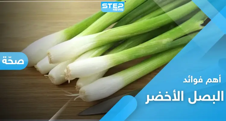 البصل الأخضر .. فوائد هامة لا تعرفها عنه: أخبار
