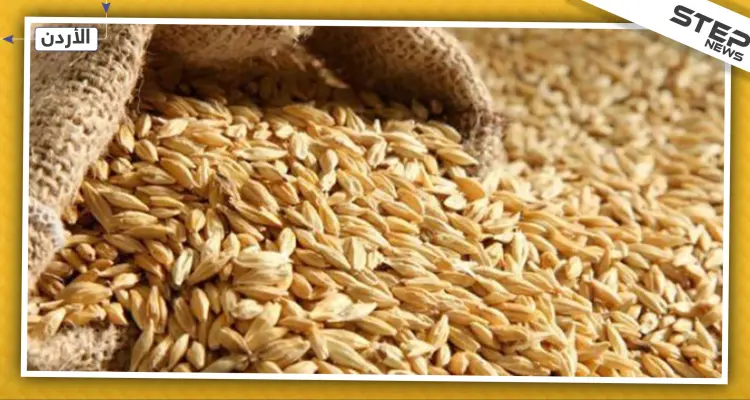 الشعير السوري يحقق وفرًا بـ 30 مليون دولار للأردن: أخبار