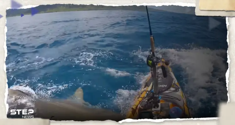 شاهد بالفيديو.. لحظة مرعبة لهجوم قرش على قارب صيد صغير: أخبار